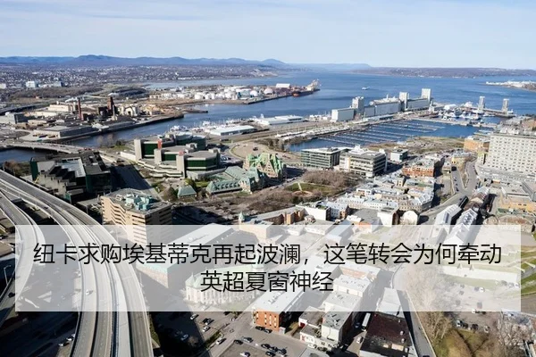 纽卡求购埃基蒂克再起波澜，这笔转会为何牵动英超夏窗神经 | lecaiwang